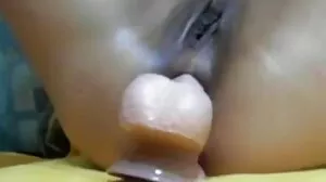 بلی بلی پر Figa