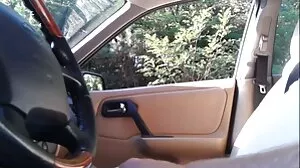سہ جی SN
