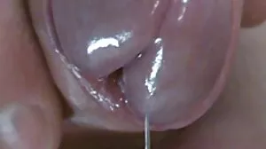 سیاہ پابندی پابندی