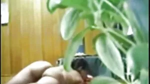 گائے مقعد آخر