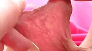 بیوکوف اگر se